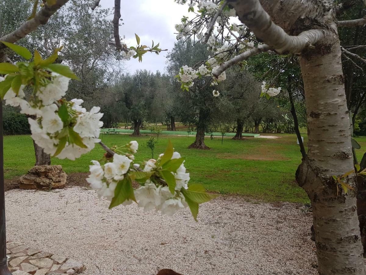 Masseria Pisciani Torchiarolo Exteriér fotografie